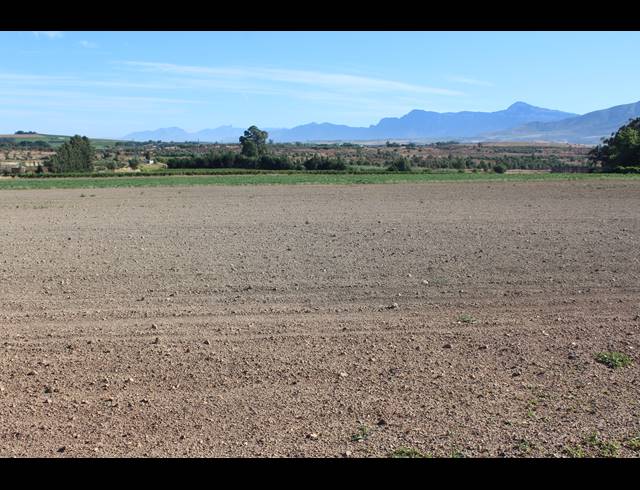 16.70HA FARM FOR SALE IN PAARL RURAL
